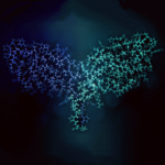 研究级Infliximab生物类似药,抗人TNF alpha单克隆抗体: C011P Syd Labs (Research grade Infliximab Biosimilar, TNF alpha Monoclonal Antibody)