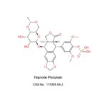 Etoposide-2