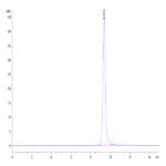 Human Annexin V/ANXA5 Protein BP004543 Syd Labs