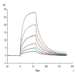 Human Serum Albumin Protein BP005110 Syd Labs