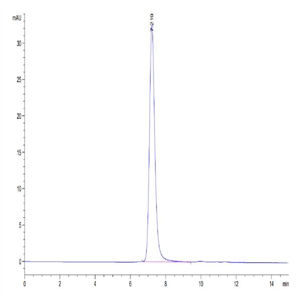 Human Serum Albumin Protein (BSA-HM401)