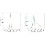 ABflo® 488 Rabbit anti-Human CEACAM6 mAb (A22187)