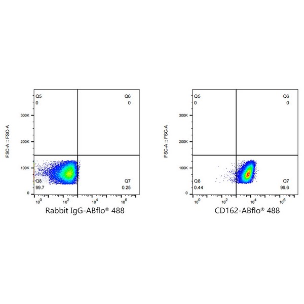 A22630: ABflo® 488 Rabbit anti-Human CD162/PSGL-1 mAb
