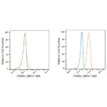 ABflo® 488 Rabbit anti-Human/Mouse Integrin alpha 5 (ITGA5/CD49e) mAb (A22771)