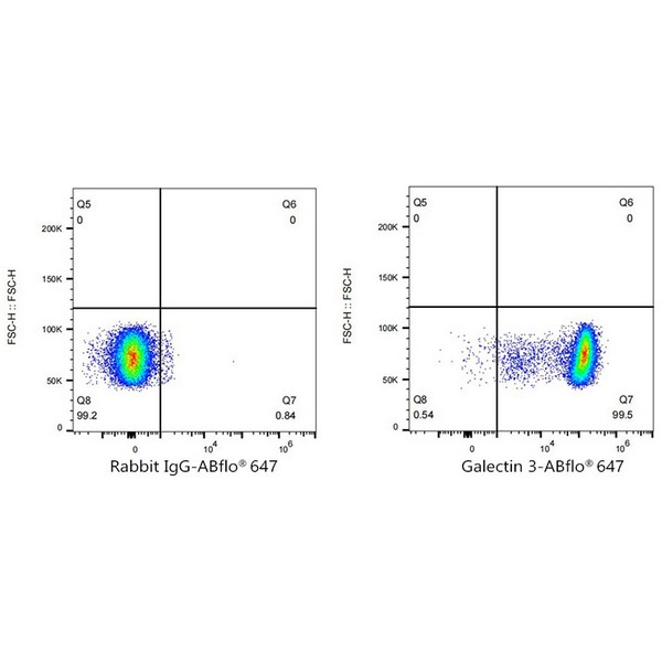 Abclonal ABflo® 647 Rabbit anti-Human Galectin 3 mAb (Catalog Number: A23017)