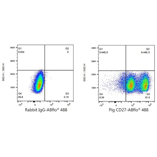 A23101: ABflo® 488 Rabbit anti-Pig CD27 mAb