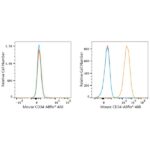 ABflo® 488 Rabbit anti-Mouse CD34 mAb (A23107)
