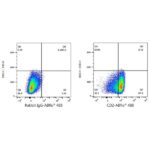 A23116: ABflo® 488 Rabbit anti-Human CD2 mAb