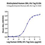 Biotinylated Human 2B4/CD244/SLAMF4 Protein BP004827 Syd Labs