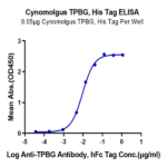 Cynomolgus TPBG/5T4 Protein BP003950 Syd Labs