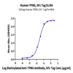 Human TPBG/5T4 Protein BP003473 Syd Labs