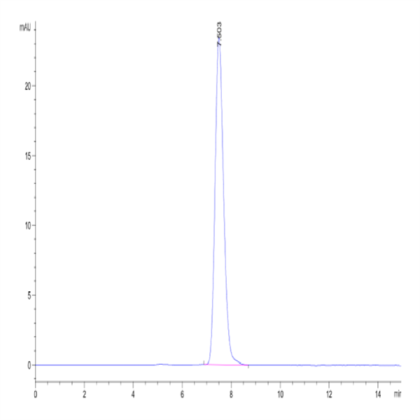 Human TPBG/5T4 Protein (5T4-HM201)