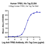 Human TPBG/5T4 Protein BP005271 Syd Labs