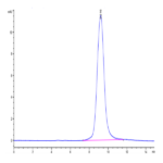 Monkeypox virus A30 Protein BP003807 Syd Labs