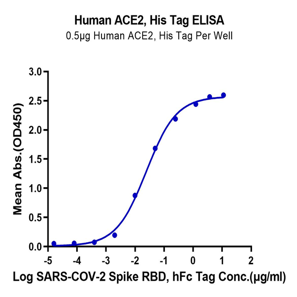 Human ACE2/ACEH Protein (ACE-HM401)