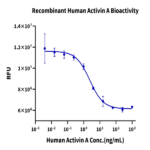Human Activin A Protein BP003826 Syd Labs