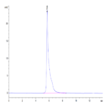 Human Adiponectin/Acrp30 Protein BP004820 Syd Labs
