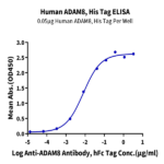 Human ADAM8 Protein BP004454 Syd Labs