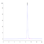 Human ADAM8 Protein (ADM-HM108)