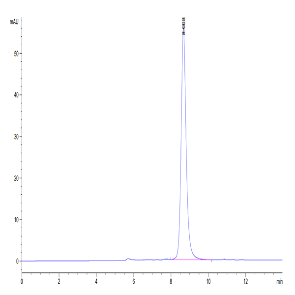 Human ADAM8 Protein (ADM-HM108)