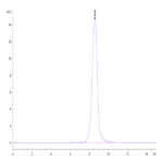 Mouse ADAM8 Protein BP004627 Syd Labs