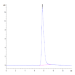 Mouse AREG Protein BP004927 Syd Labs