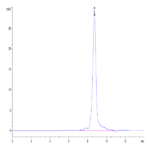 Human AGER Protein BP004719 Syd Labs