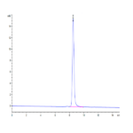Cynomolgus AFP Protein BP003647 Syd Labs