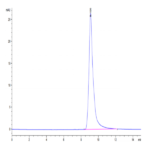 Mouse AGR-2 Protein BP004156 Syd Labs