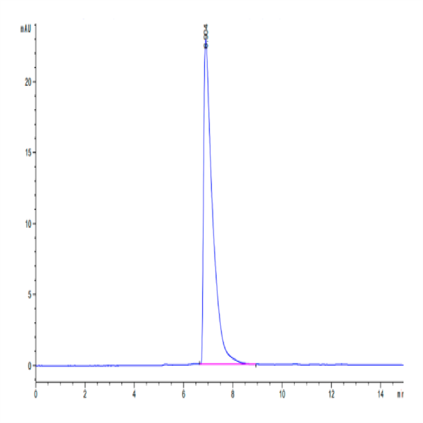 Cynomolgus ALCAM/CD166 Protein (ALC-CM101)