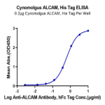 Cynomolgus ALCAM/CD166 Protein BP003679 Syd Labs