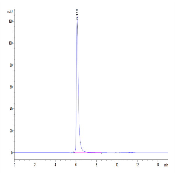 Human ALCAM/CD166 Protein (ALC-HM101)
