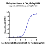 Biotinylated Human ALCAM/CD166 Protein BP004290 Syd Labs