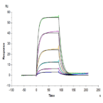 Human ALCAM/CD166 Protein BP004301 Syd Labs