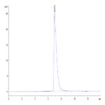 Mouse ALCAM/CD166 Protein BP004800 Syd Labs