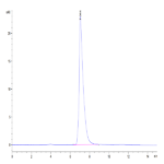 Biotinylated Mouse ALCAM/CD166 Protein BP004297 Syd Labs
