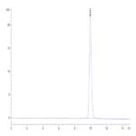 Cynomolgus ALK-1/ACVRL1 Protein BP003410 Syd Labs