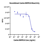Canine BMPR1A/ALK-3 Protein BP003310 Syd Labs