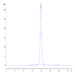 Human ALK-1/ACVRL1 Protein  BP005122  Syd Labs