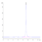 Mouse AMCase/CHIA Protein BP004376 Syd Labs