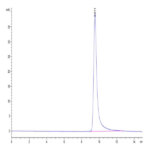 Cynomolgus ANGPTL4/Angiopoietin-like 4 Protein BP003676 Syd Labs