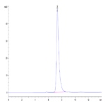 Human CD13/ANPEP Protein BP004452 Syd Labs