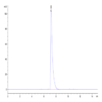 Mouse CD13/ANPEP Protein BP004426 Syd Labs