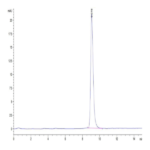Human ANTXR2 Protein BP004011 Syd Labs