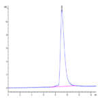 Mouse ANTXR2 Protein BP004088 Syd Labs
