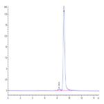 Cynomolgus ANXA1 Protein BP003750 Syd Labs