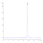 Mouse ANXA1 Protein BP004629 Syd Labs