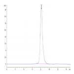 Human Alkaline phosphatase (Intestinal type) /ALPI Protein (APE-HM101)