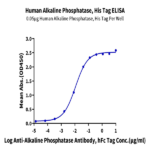 Human Alkaline Phosphatase (Placental type) /ALPP Protein BP004363 Syd Labs