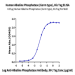 Human Alkaline Phosphatase (Germ type) /ALPG Protein BP003485 Syd Labs